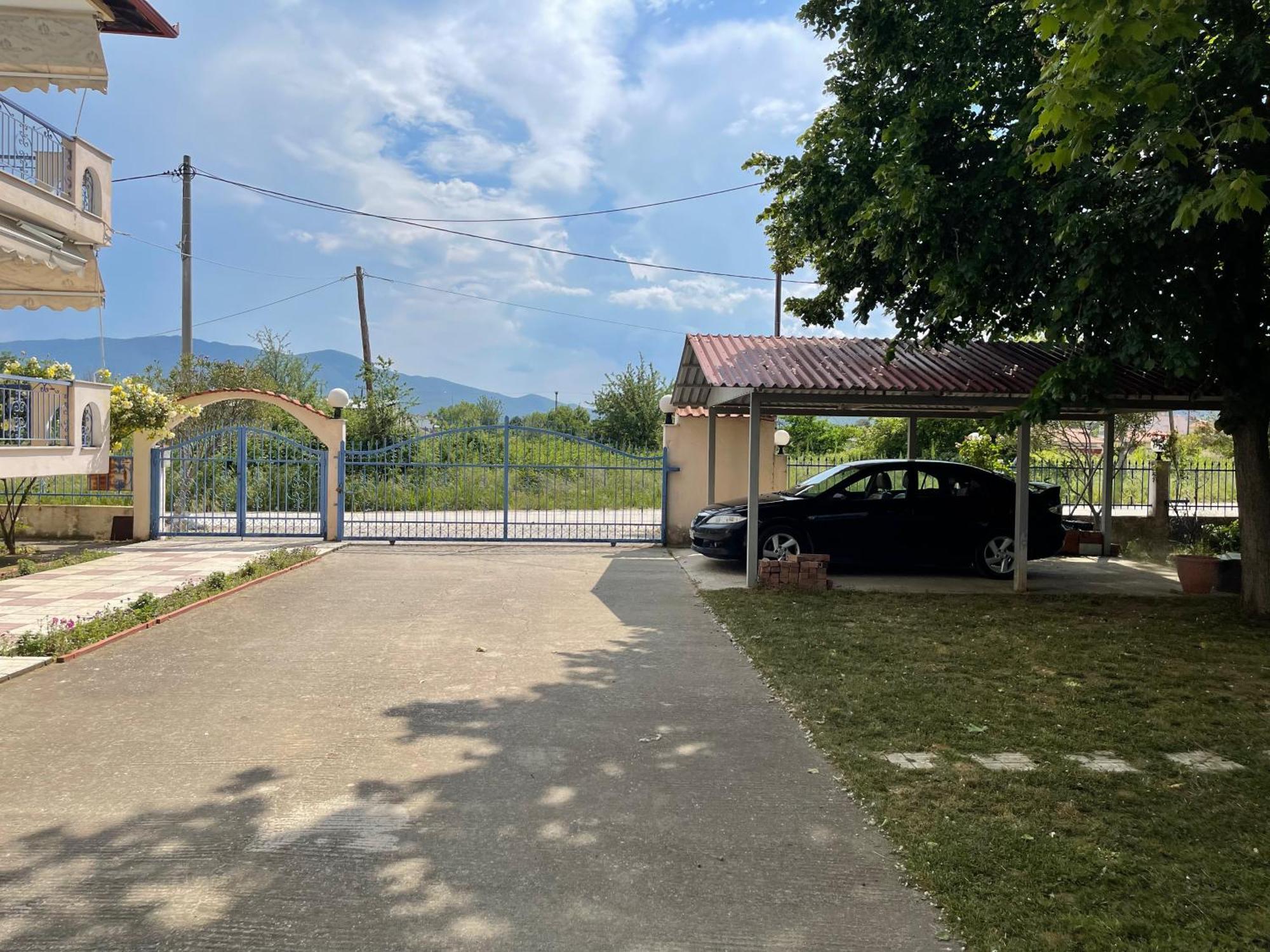 Tsolakis *